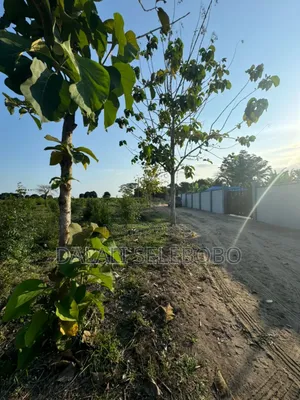 Plot at Kerege Square 3000 Mradi Mpyaa