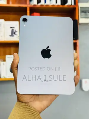 Apple iPad mini 6 256 GB Gray
