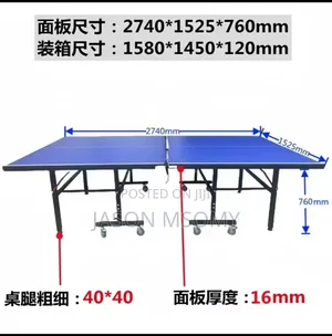 Tennis Table Ping Pong