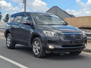 Photo - Toyota Vanguard 2009 Gray