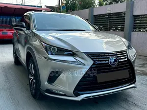 Lexus NX 2019 Gray
