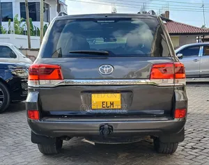 Toyota Land Cruiser 2010 Gray