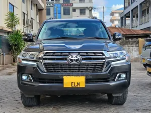 Toyota Land Cruiser 2010 Gray