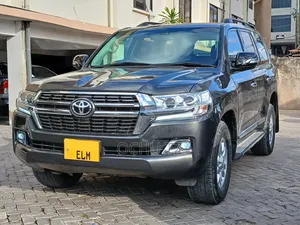 Toyota Land Cruiser 2010 Gray