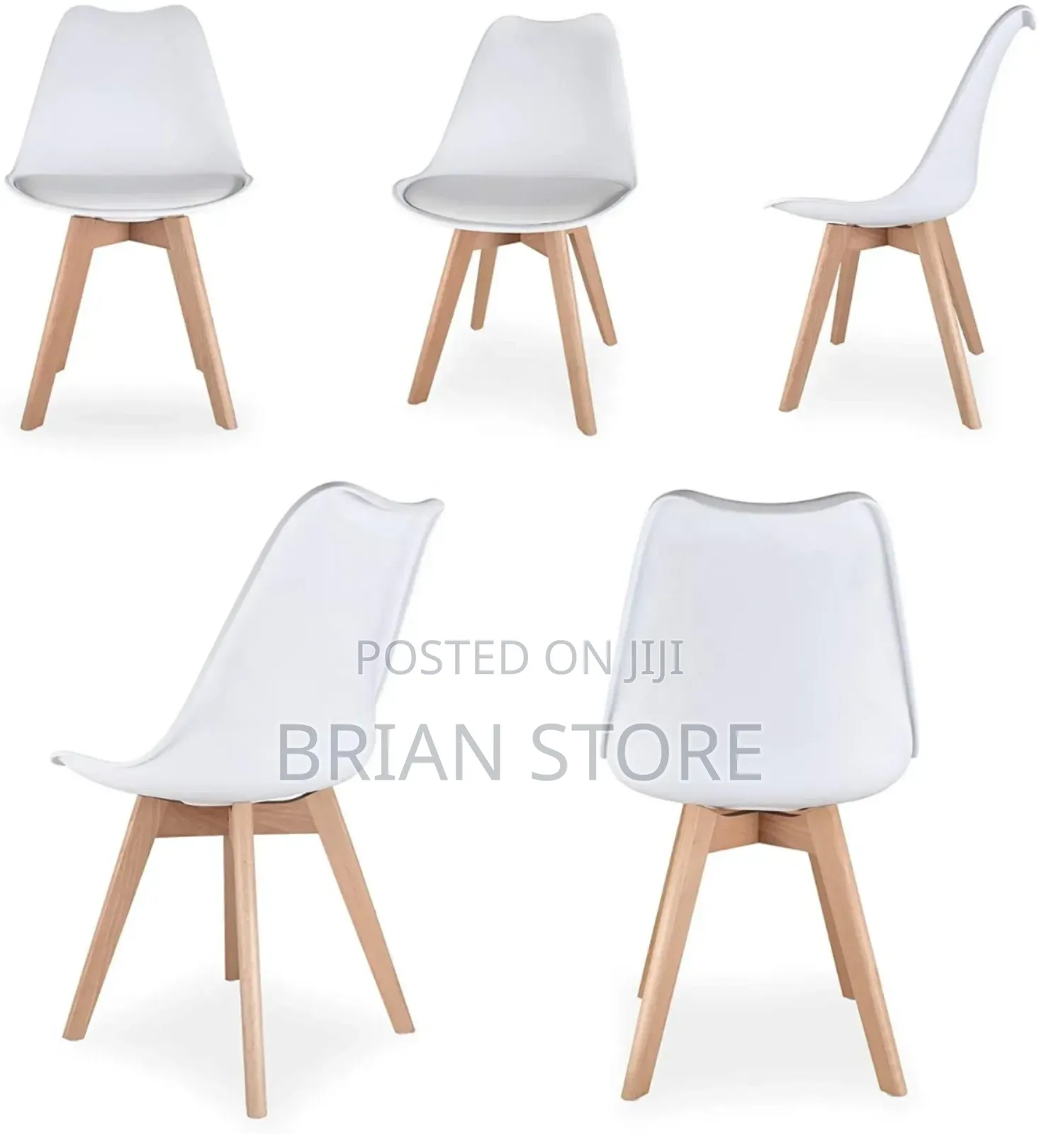 Tulip Modern Classic Chair