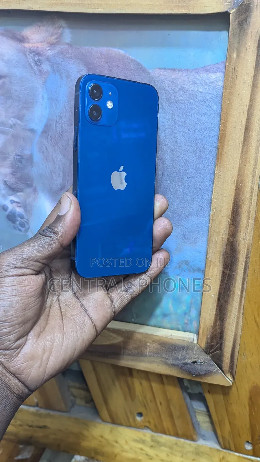 Apple iPhone 12 128 GB Blue