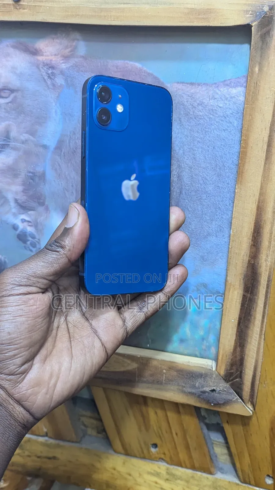 Apple iPhone 12 128 GB Blue