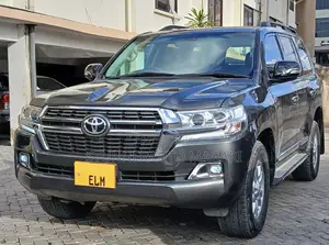 Toyota Land Cruiser 2010 Gray