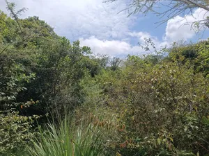 2 Acres Land in Mateves-Western Arusha for Sale