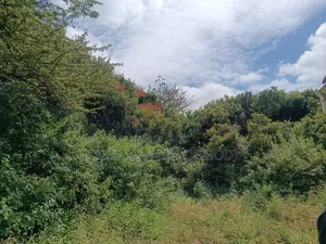 2 Acres Land in Mateves-Western Arusha for Sale