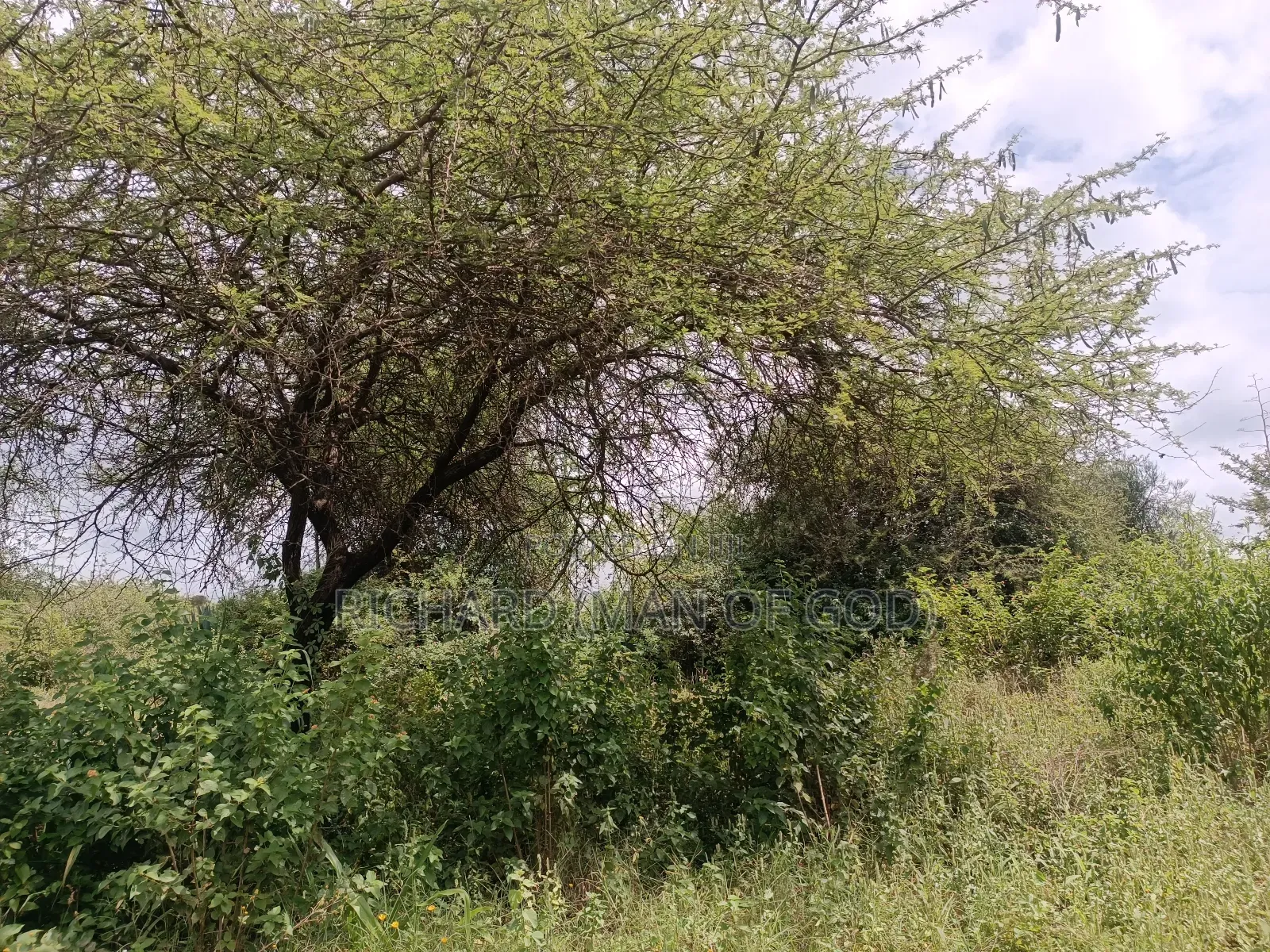 2 Acres Land in Mateves-Western Arusha for Sale