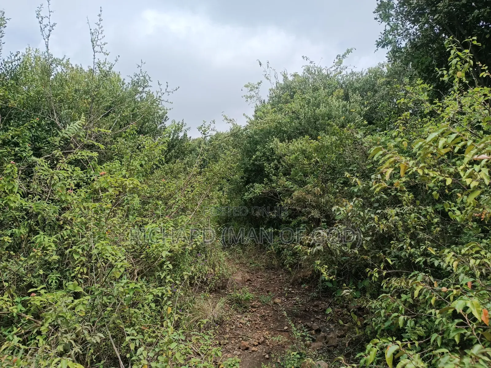 2 Acres Land in Mateves-Western Arusha for Sale