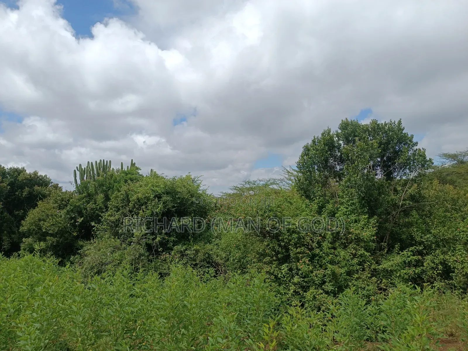 2 Acres Land in Mateves-Western Arusha for Sale