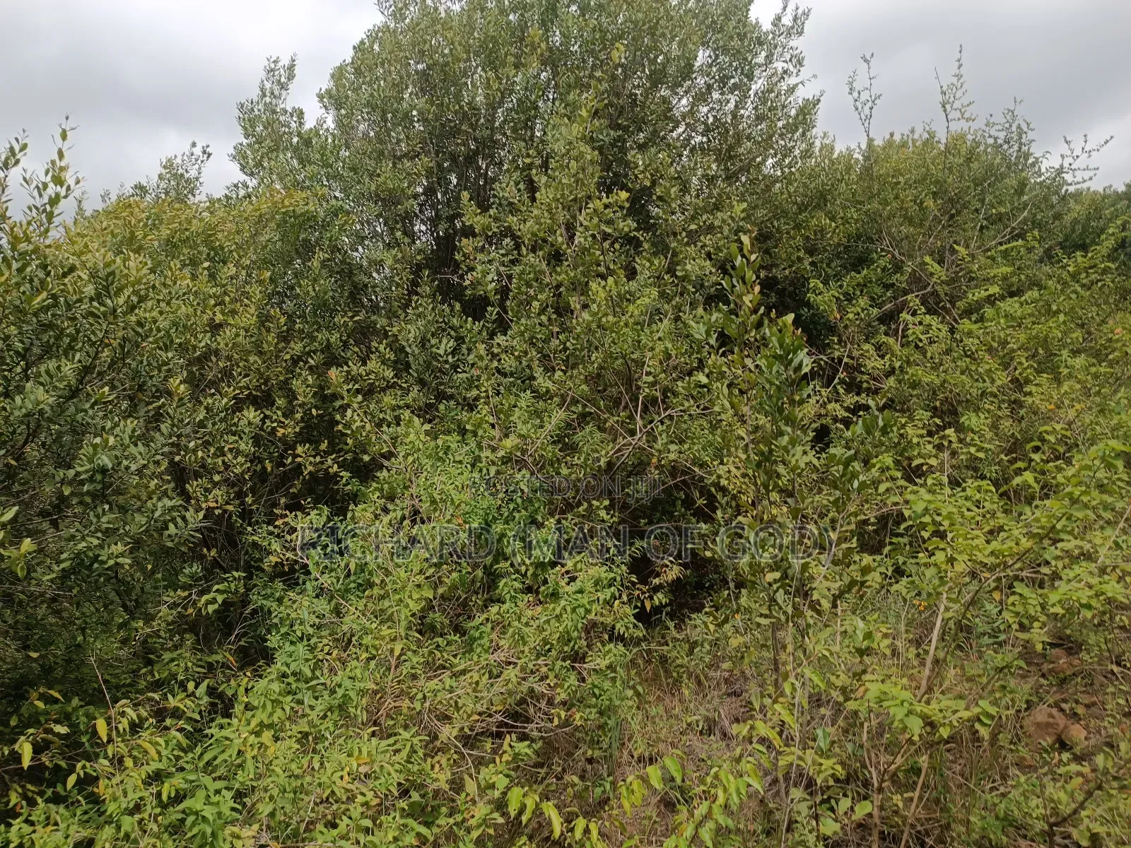2 Acres Land in Mateves-Western Arusha for Sale