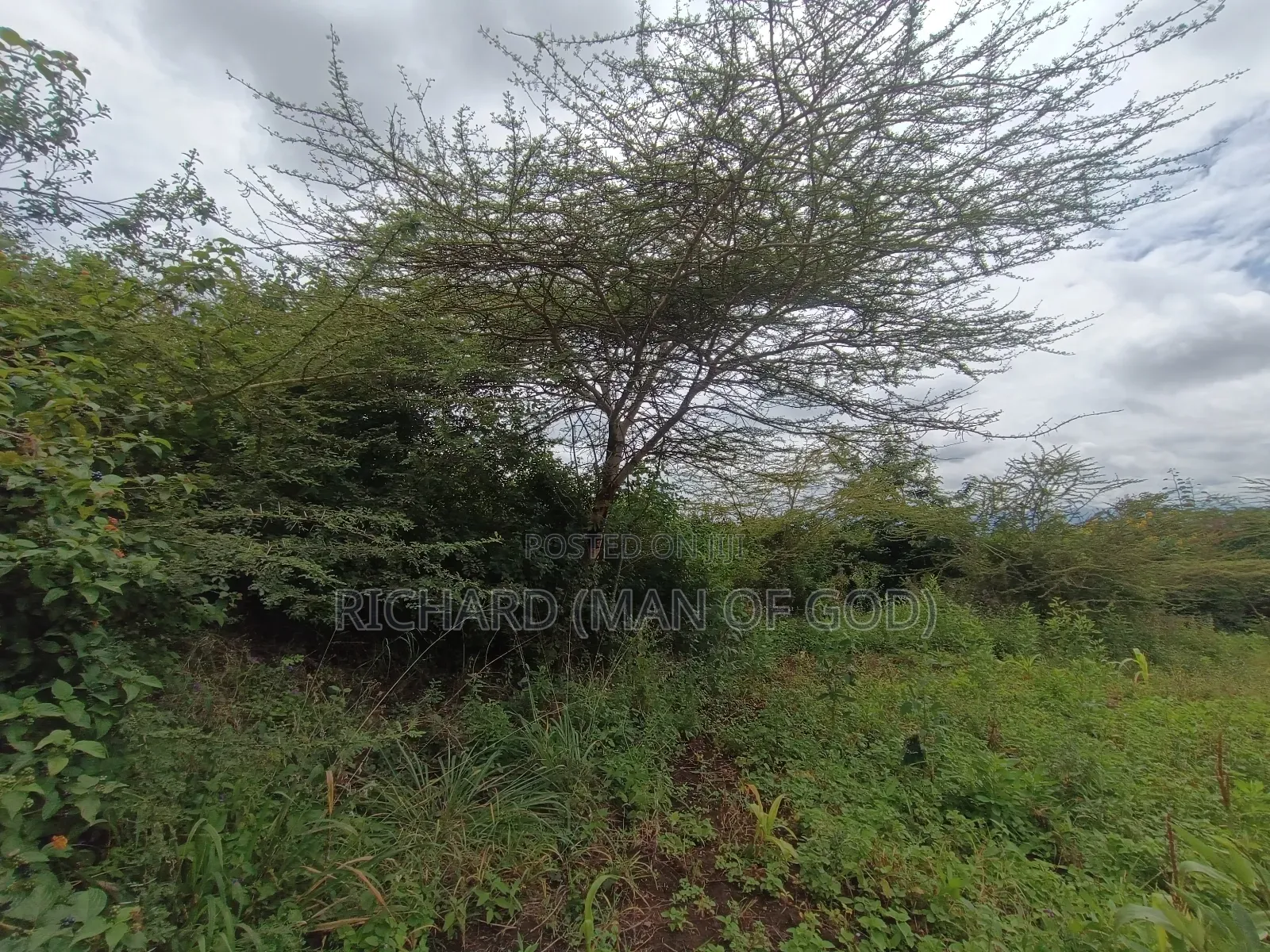 2 Acres Land in Mateves-Western Arusha for Sale