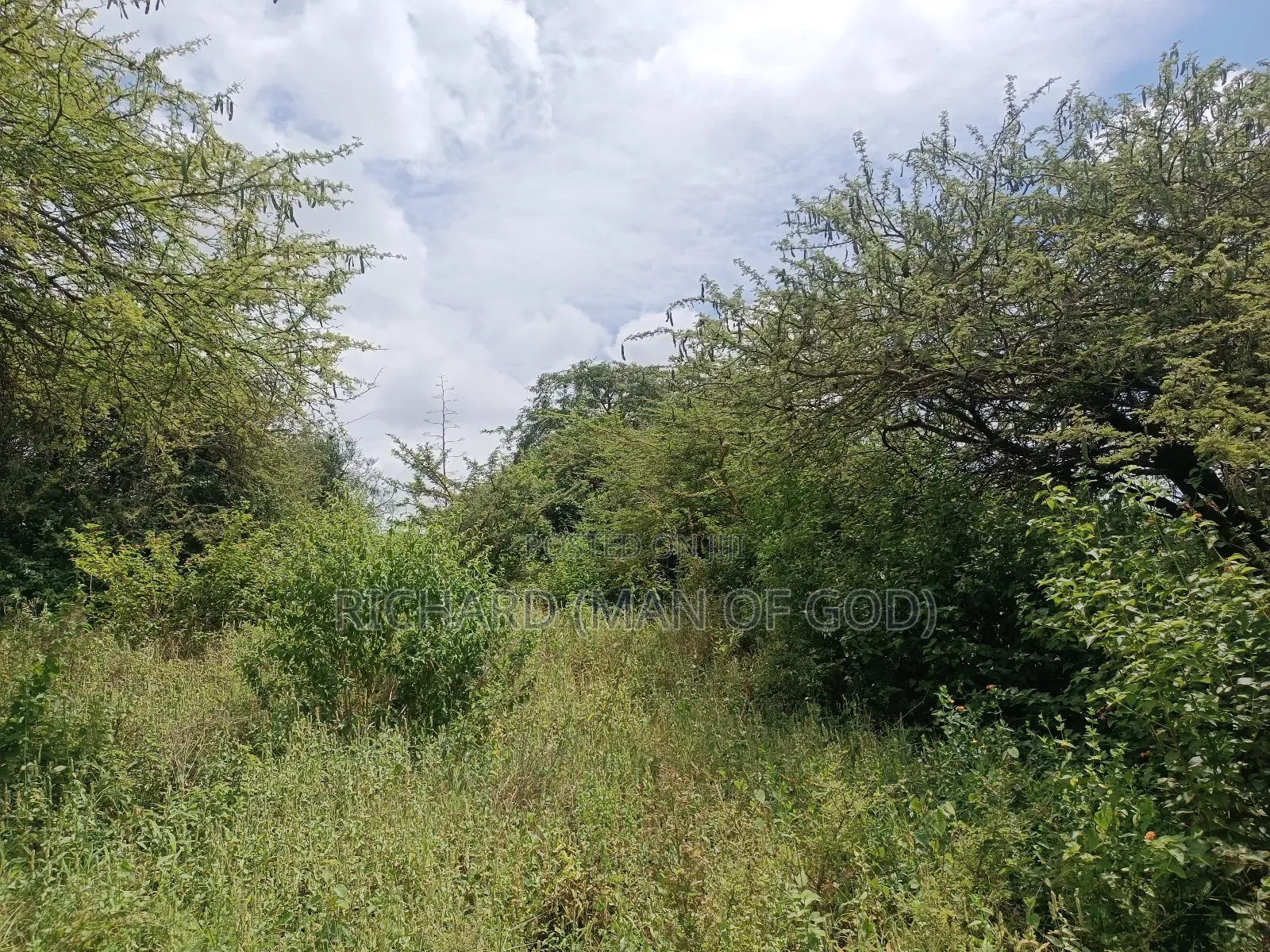 2 Acres Land in Mateves-Western Arusha for Sale