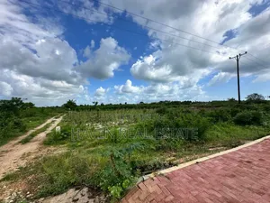 Second Line Beach Plot for Sale at Zanzibar
