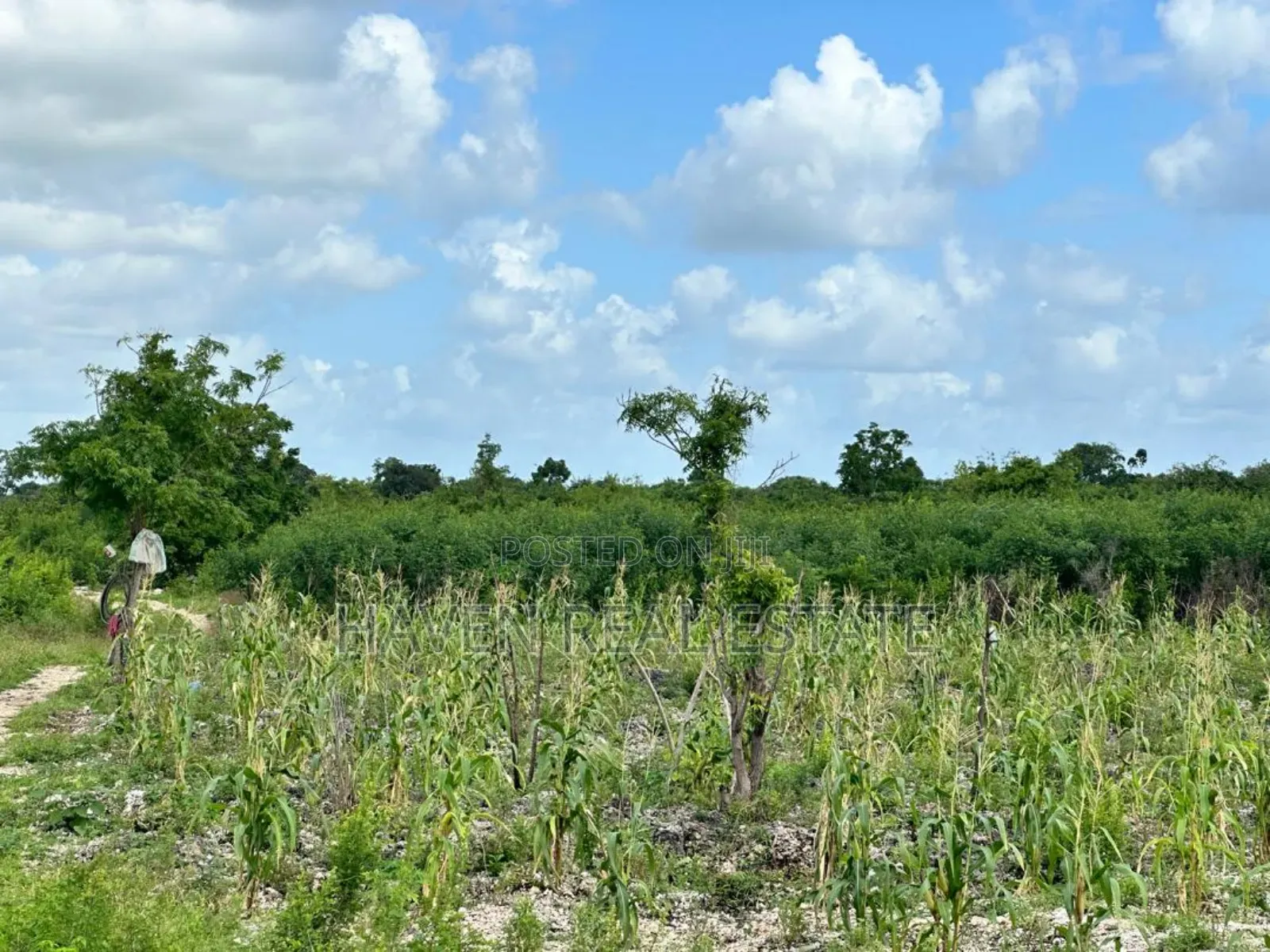Second Line Beach Plot for Sale at Zanzibar