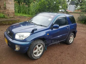 Toyota RAV4 Base FWD 2001 Blue