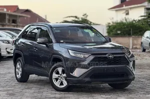 Toyota RAV4 Hybrid 2019 Gray