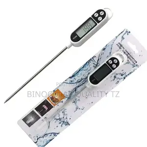 Digital Thermometer