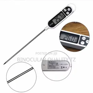 Digital Thermometer