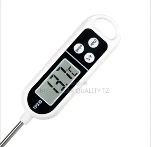 Digital Thermometer