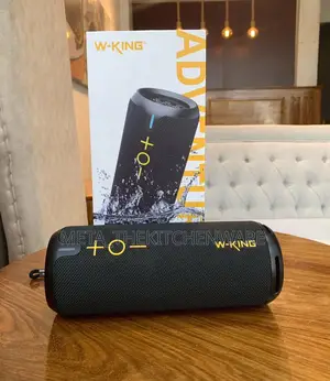 W-King Portable Speaker D320 Ip67 40w