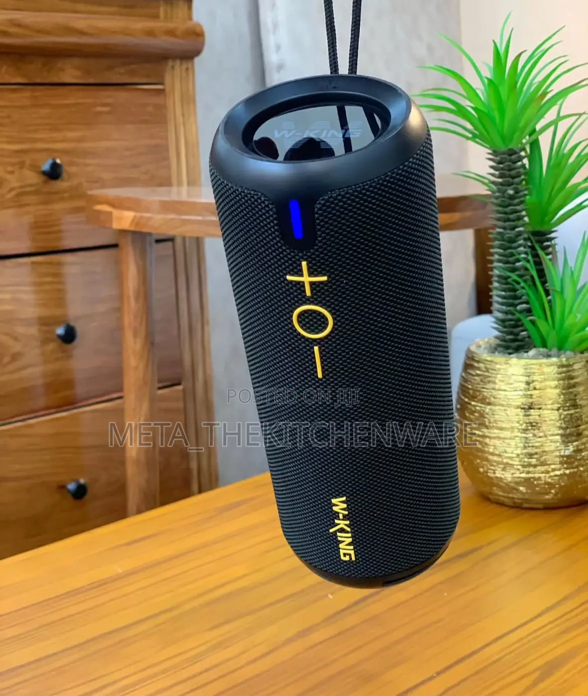 W-King Portable Speaker D320 Ip67 40w