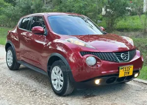 Nissan Juke 2011 Burgundy