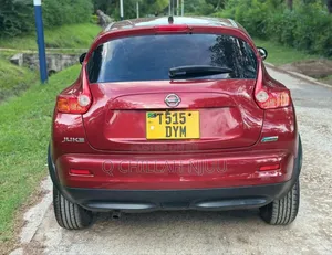 Nissan Juke 2011 Burgundy