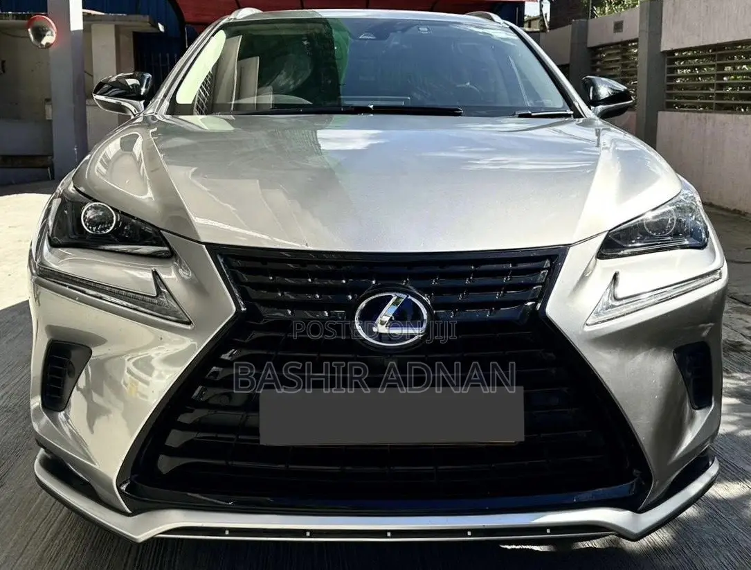 Lexus NX 300h 2015 Silver