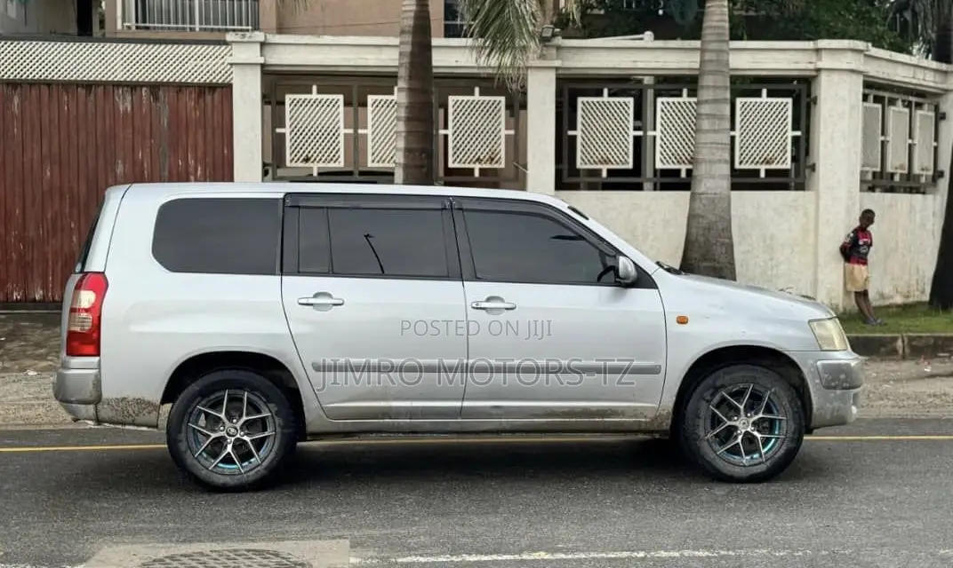 Toyota Succeed 2010 Silver