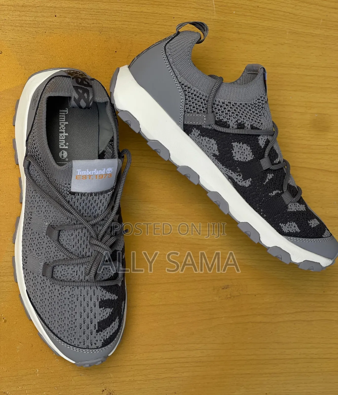 Men's Shoes Timberland Gray