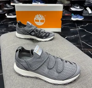 Men's Shoes Timberland Gray
