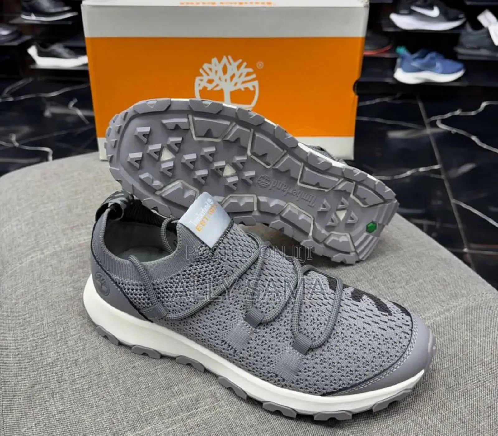 Men's Shoes Timberland Gray
