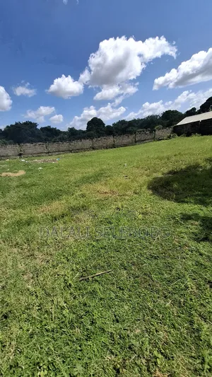 Photo - Plot at Ubungo Riverside
