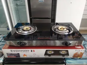 Gas Stove With 2 Burners