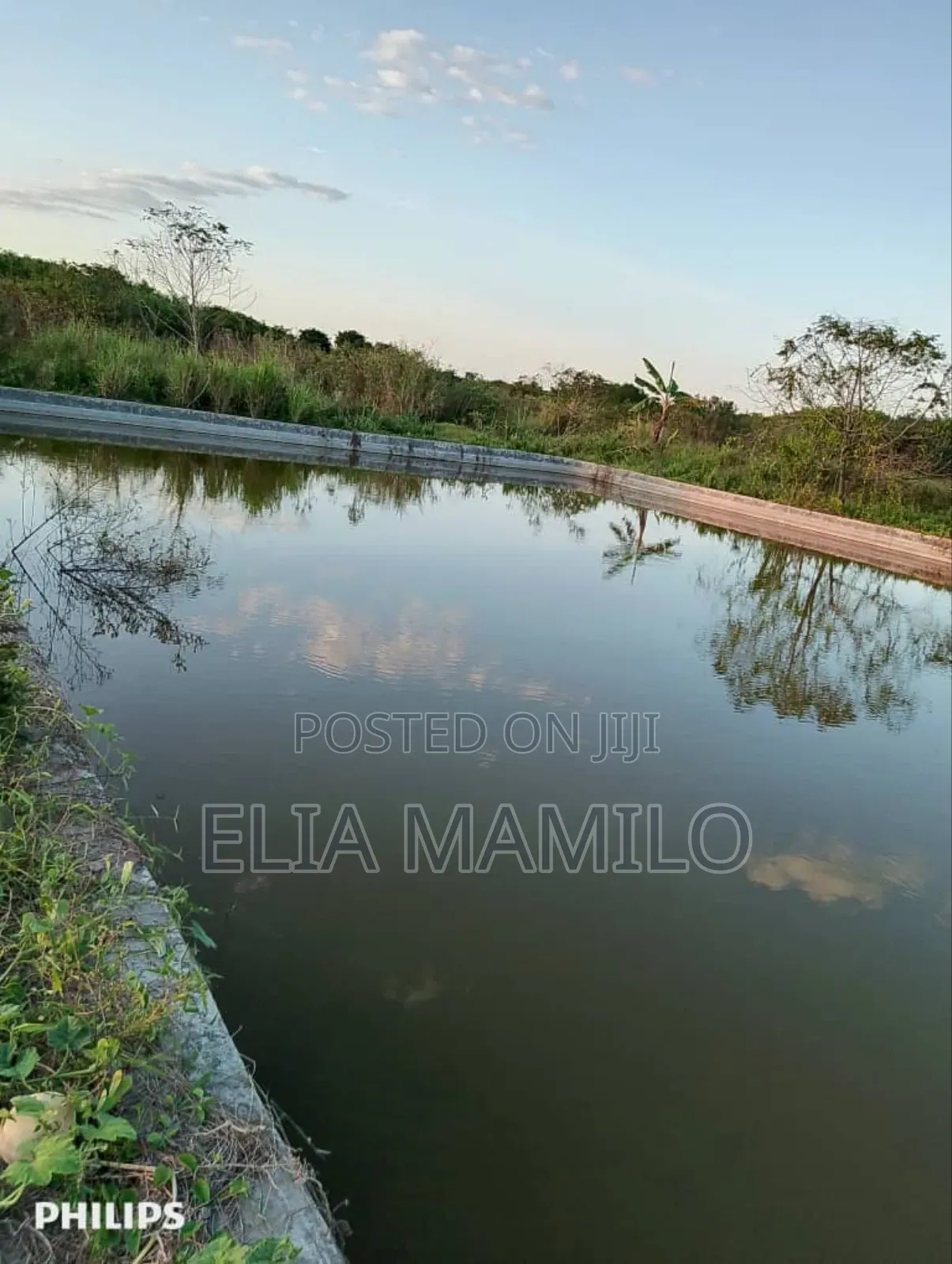 Farm for Sale, /Shamba Linauzwa