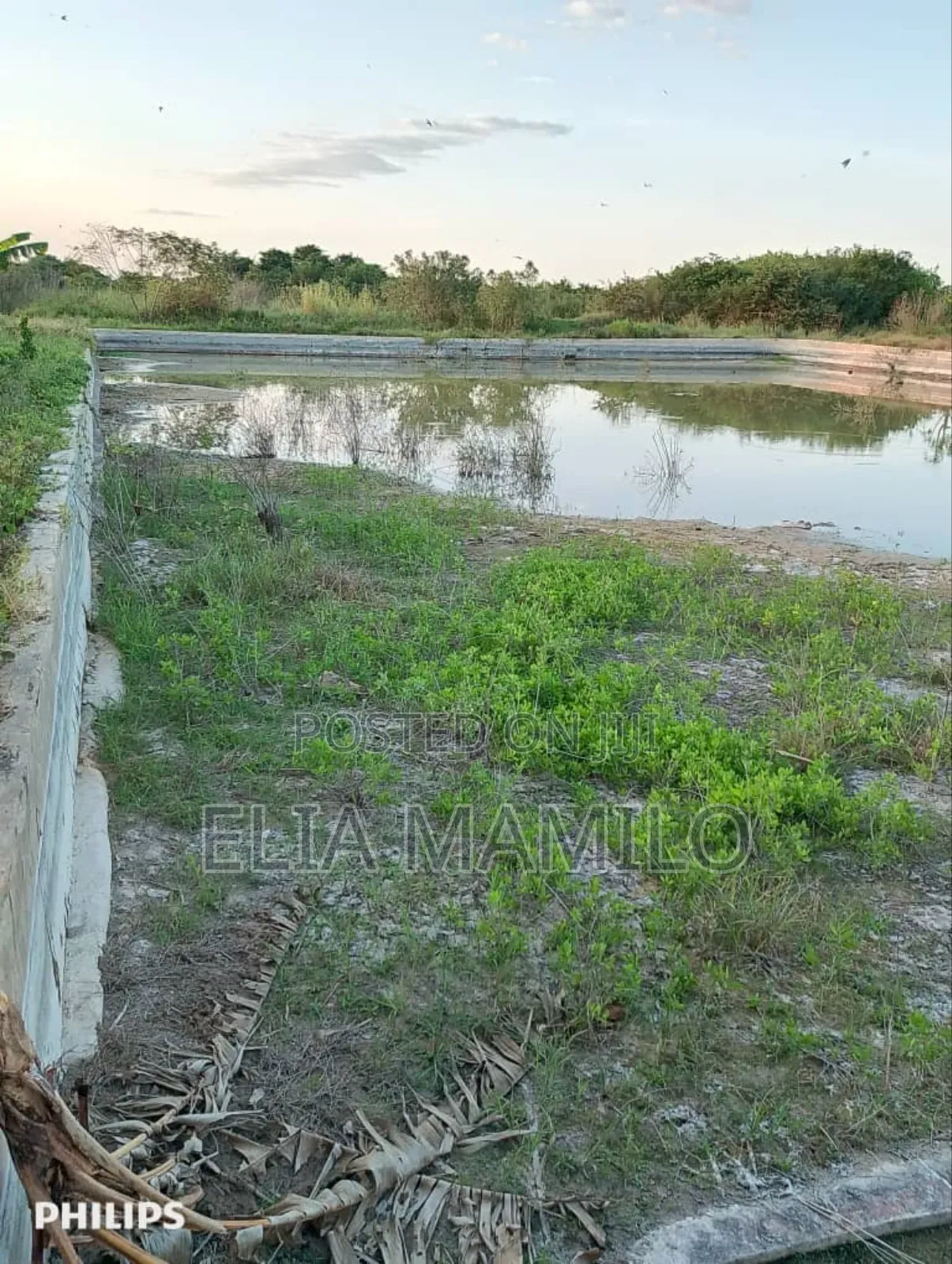 Farm for Sale, /Shamba Linauzwa