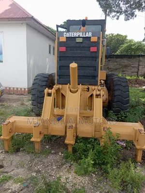 Cat Katapila
