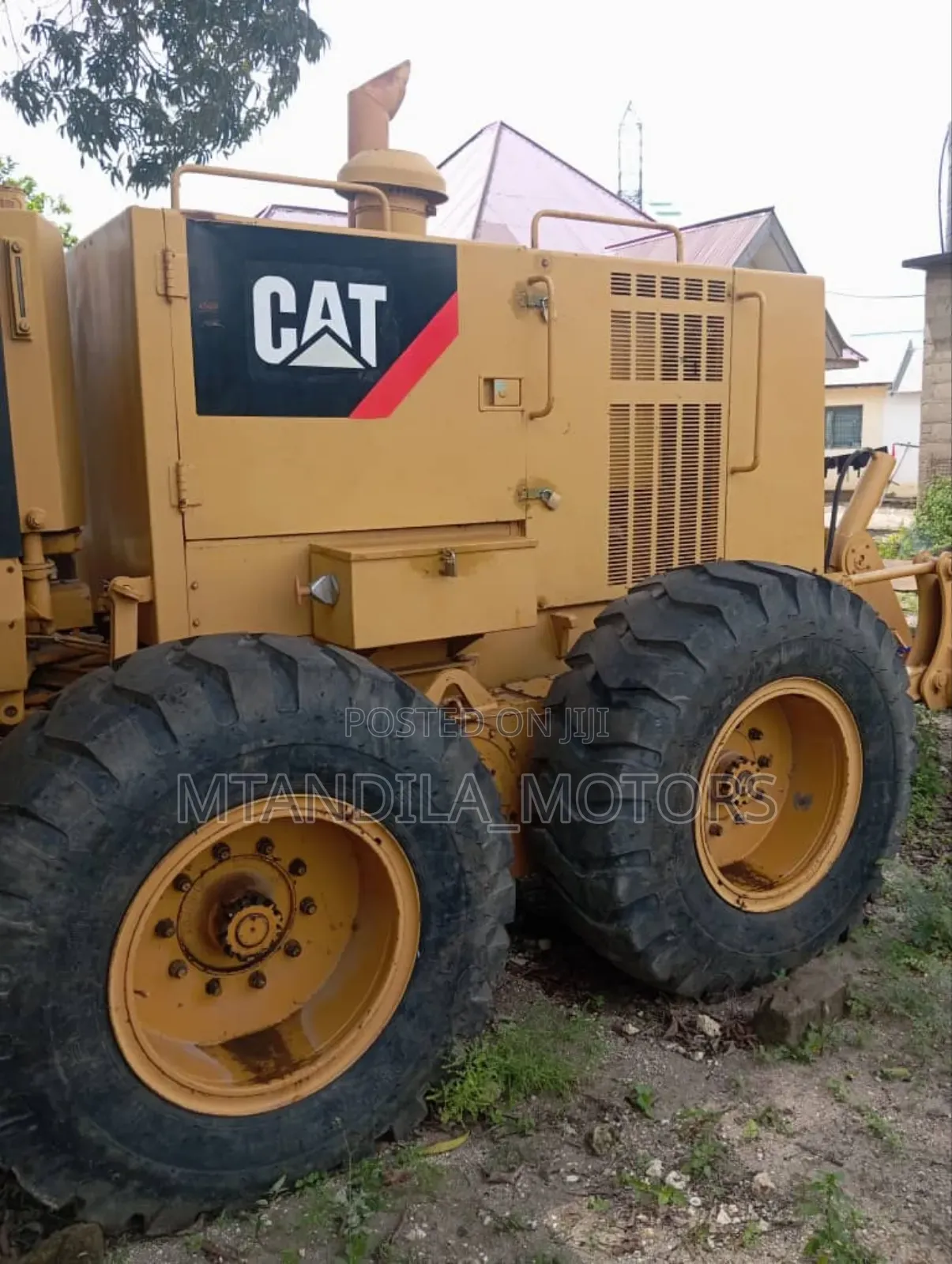 Cat Katapila