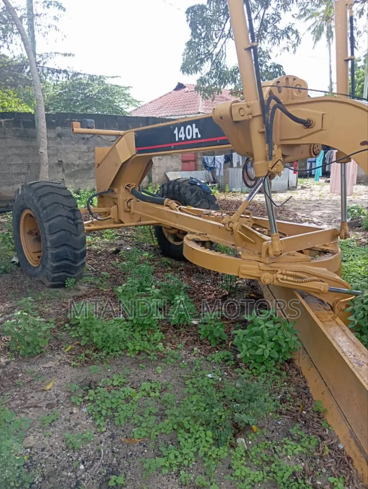Cat Katapila