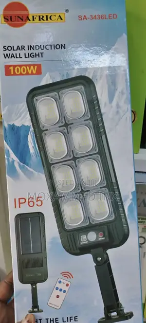 Solar Induction Wall Light