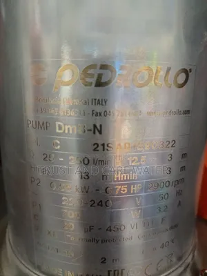 Pedrollo Pump 0.75hp (Kibuyu)