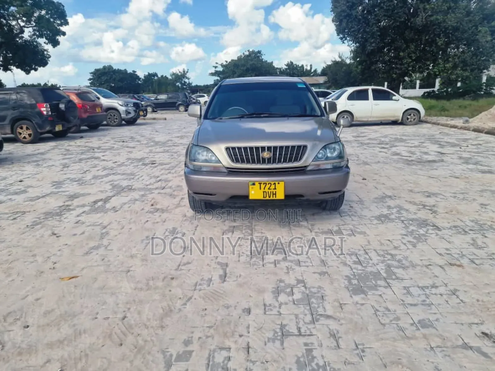 Toyota Harrier 2004 Gold