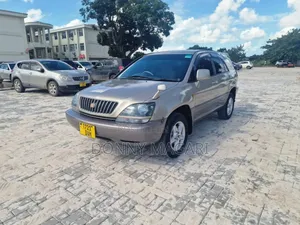 Toyota Harrier 2004 Gold