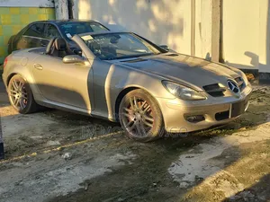 Mercedes-Benz SLK-Class 2007 Brown