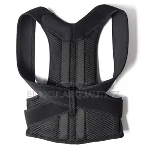 Back Pain, Need Help