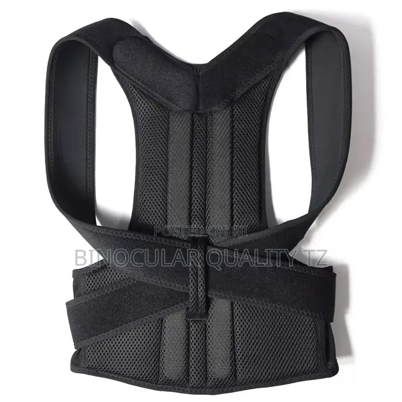 Back Pain, Need Help